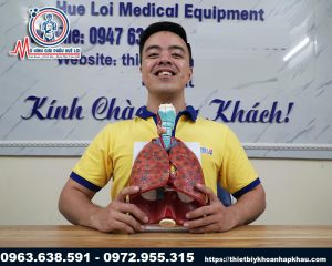 Giải phẫu phổi Phổi nằm ở đâu cấu tạo phổi và màng phổi  Kênh iTV